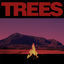 Cover Trees
