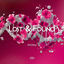 Cover Lost & Found