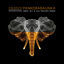 Cover Pankobabaunka (Abra Jey & Lea Socher Remix)
