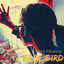 Cover Free Bird