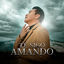 Cover Te Sigo Amando