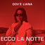 Cover Ecco la Notte