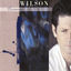 Cover Brian Wilson