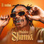 Cover Maisha Ya Stunna