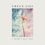 Cover I Wish I Was You
