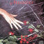 Cover With Sympathy