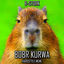 Cover Bobr Kurwa (Hardstyle Meme)