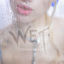 Cover WET