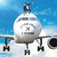 Cover טרמינל 3