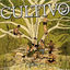 Cover Orgânico 1