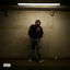 Cover Hoodrich