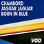 Cover Born In Blue