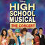 Cover High School Musical: The Concert