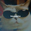 Cover Nature and Cat