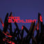 Cover Blacklight