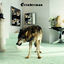 Cover Grinderman 2