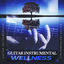 Cover Guitar Instrumental Wellness