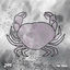 Cover The Crab