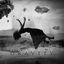 Cover Gravity