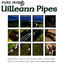 Cover Pure Irish Uilleann Pipes