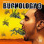 Cover Steve Bug Presents Bugnology 3
