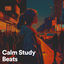 Cover Calm Study Beats