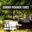 Cover Sunday Picknick Tunes, Vol. 1 (Smooth and Jazzy Weekend Feeling)