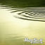 Cover Ripples