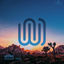 Cover Joshua Tree