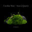 Cover Caroline Shaw: Evergreen