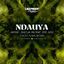 Cover Ndauya - Enoo Napa Remix