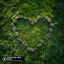 Cover You’re My Heart, You’re My Soul