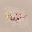 Cover Sprng Tape