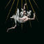 Cover FAS - Ite, Maledicti, in ignem Aeternum