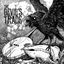 Cover What Happened to the Little Blind Crow