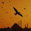 Cover Uçurum