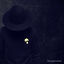 Cover Imagination