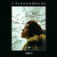 Cover 2 Fledermäuse