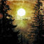 Cover Weiland