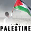 Cover Palestine (Vocals Only)