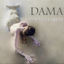 Cover El Canto de la Sirena