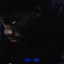 Cover RUINART