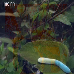 ''