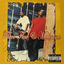 Cover Polizones