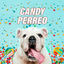 Cover Candy Perreo