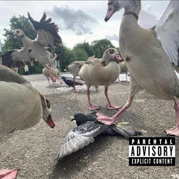 ''