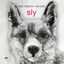 Cover sly