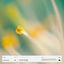 Cover morning