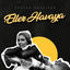 Cover Eller Havaya