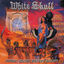 Cover Public Glory, Secret Agony